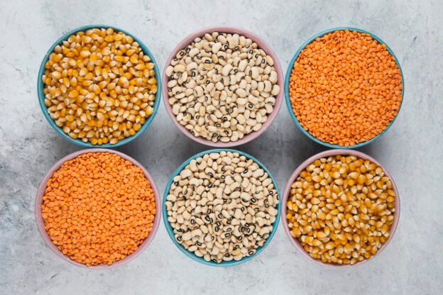which dal has highest protein