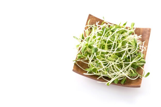 how much protein in sprouts