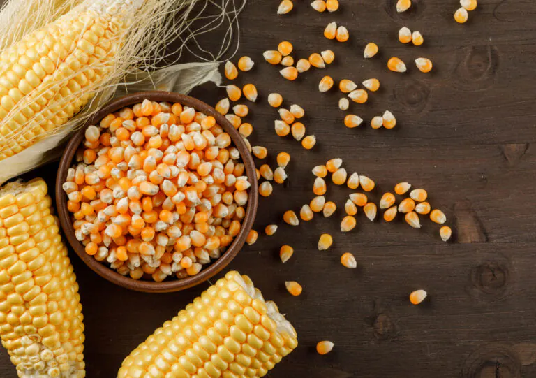 Is Corn Good for Weight Loss? Nutrition Facts, Benefits, and Expert Insights